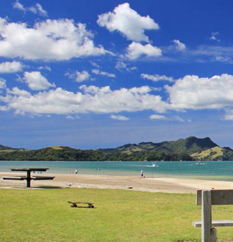 Whitianga - copyright photo: Dreamland Design